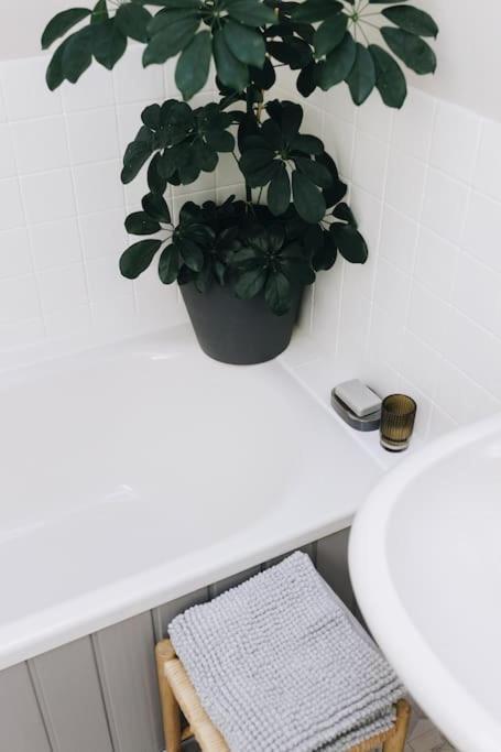 'the Studio' Designer, Seaside Apartment